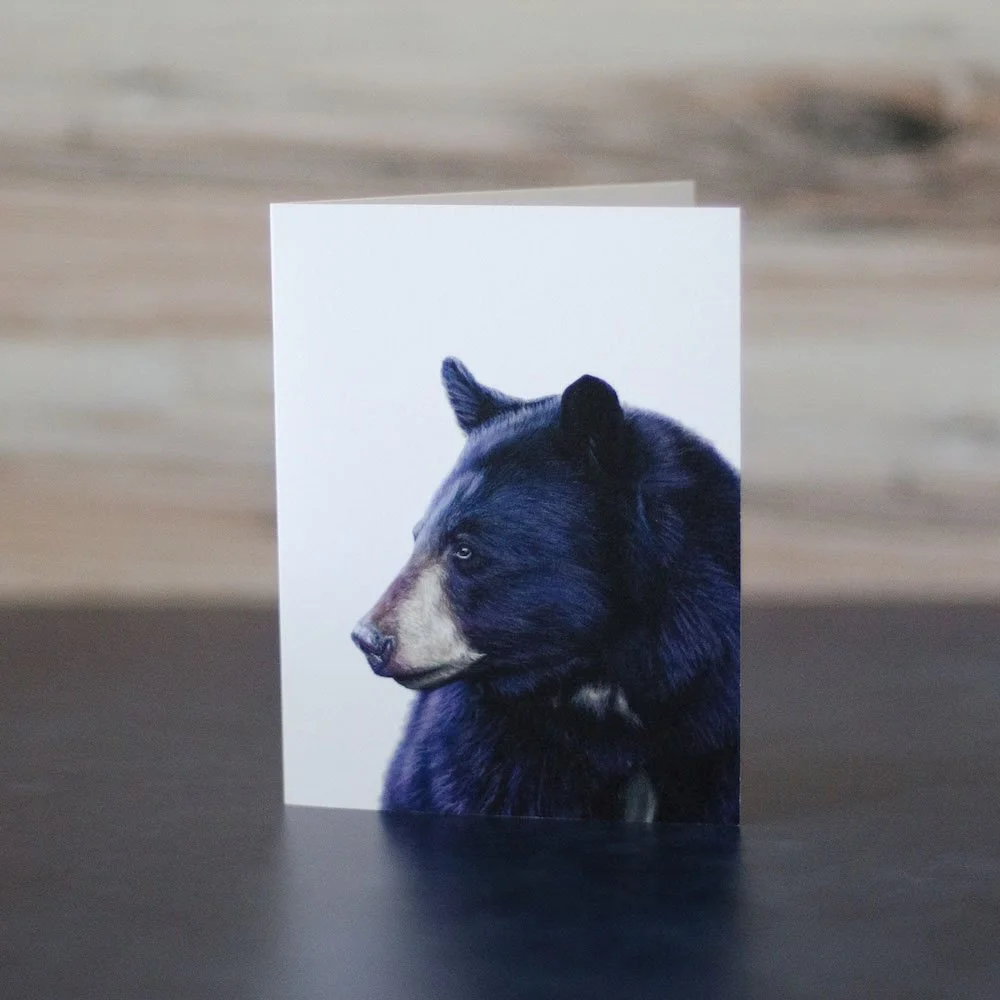 Pastel drawing of an American black bear's face and chest. Art is printed on a blank greeting card.