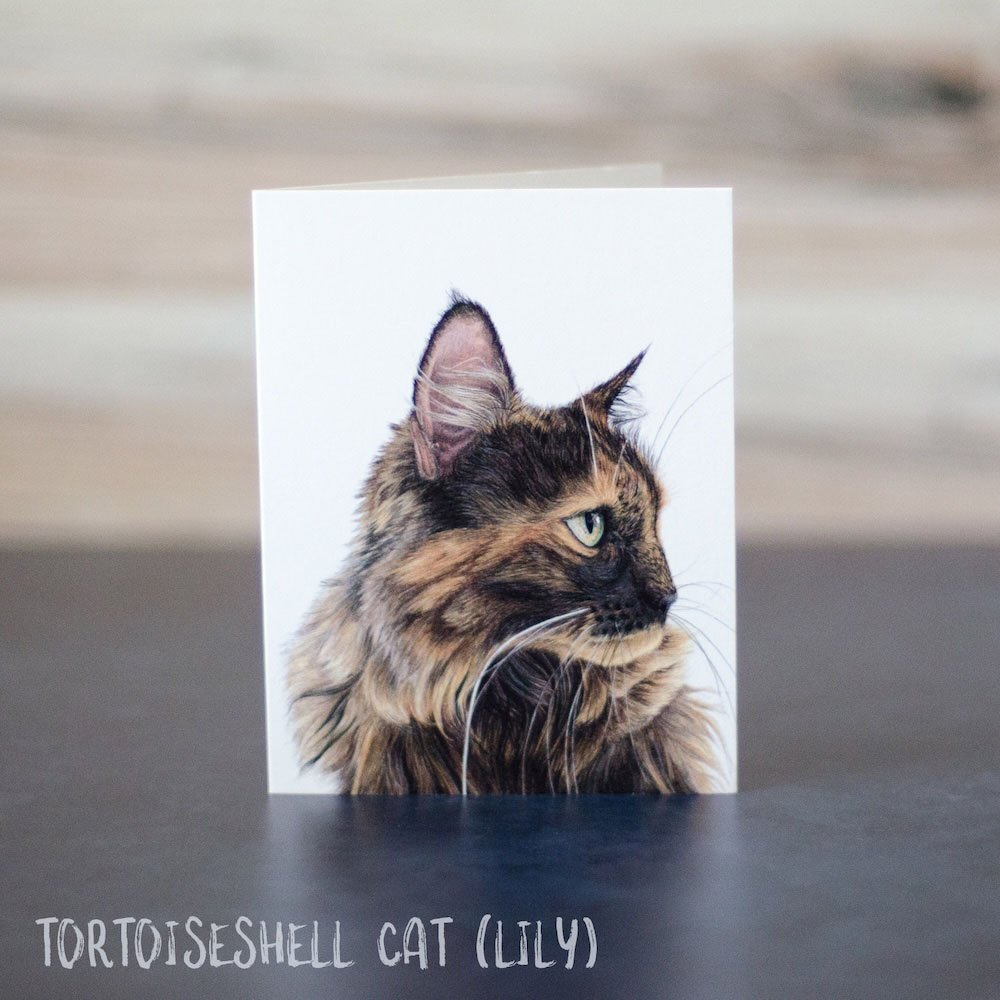 Colored pencil drawing of a long-haired tortoiseshell (tortie) cat. Pet portrait is printed on a blank greeting card.