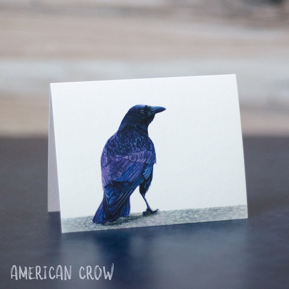 Pastel drawing of an American crow shows wing details and many purple tinted highlights. Art is printed on a blank greeting card.