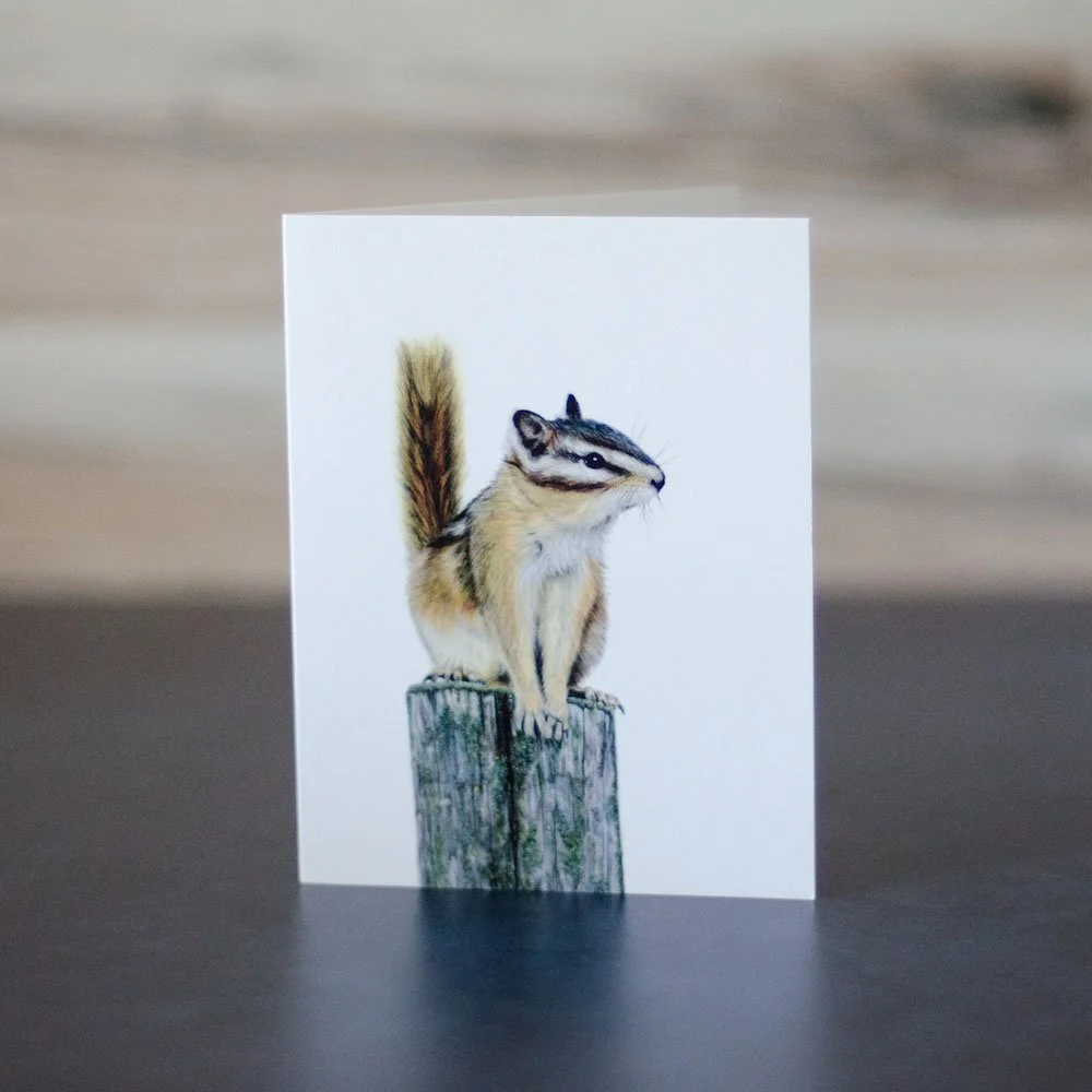 Woodland Mammals Card Set