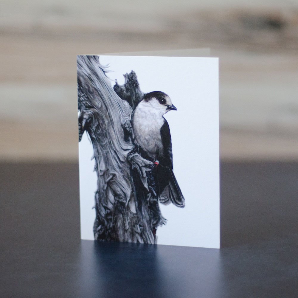 Montane Forest Card Set