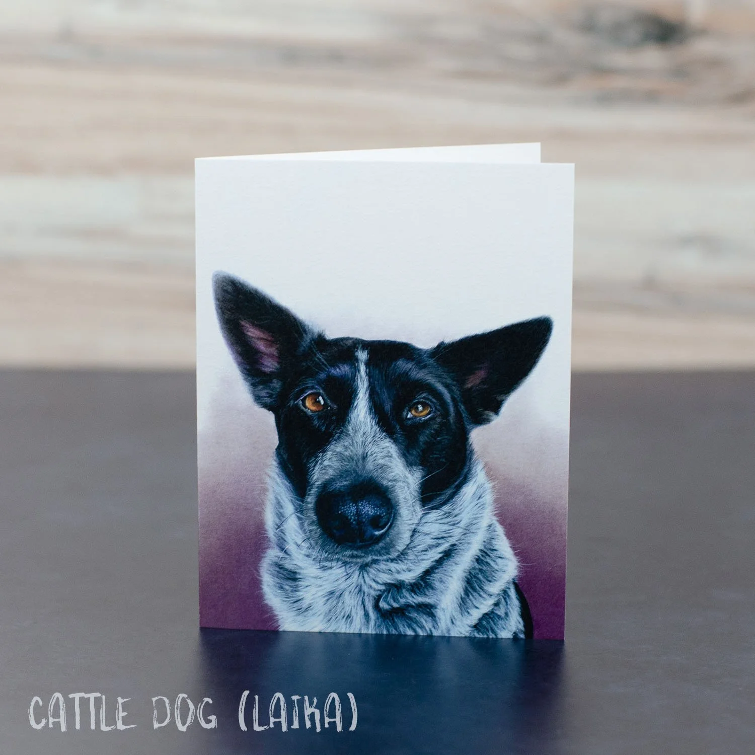 Pastel painting of a cattle dog heeler mix with black patches & black/white mixed fur. Art is printed on a blank greeting card.
