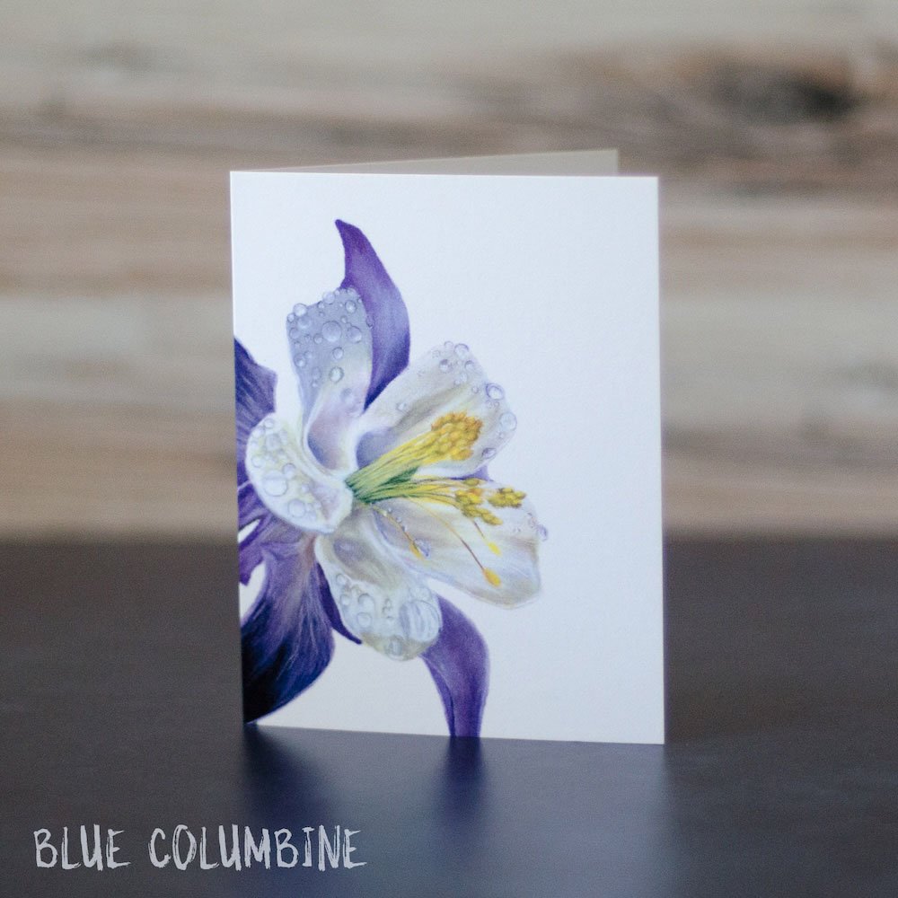 Pastel drawing of a blue columbine up close with water droplets on the petals. Art is shown printed on a blank greeting card.