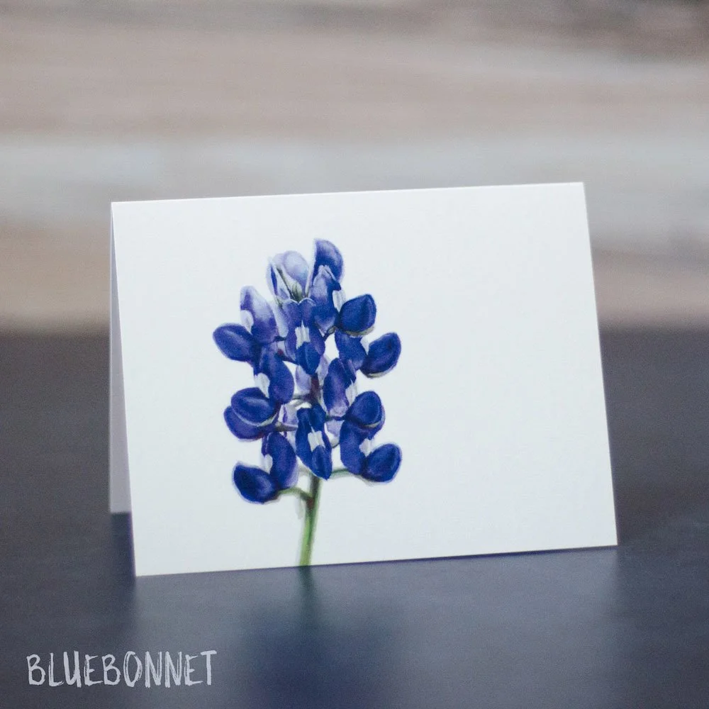 Pastel drawing of a Texas bluebonnet wildflower. Illustration is printed on a blank greeting card.