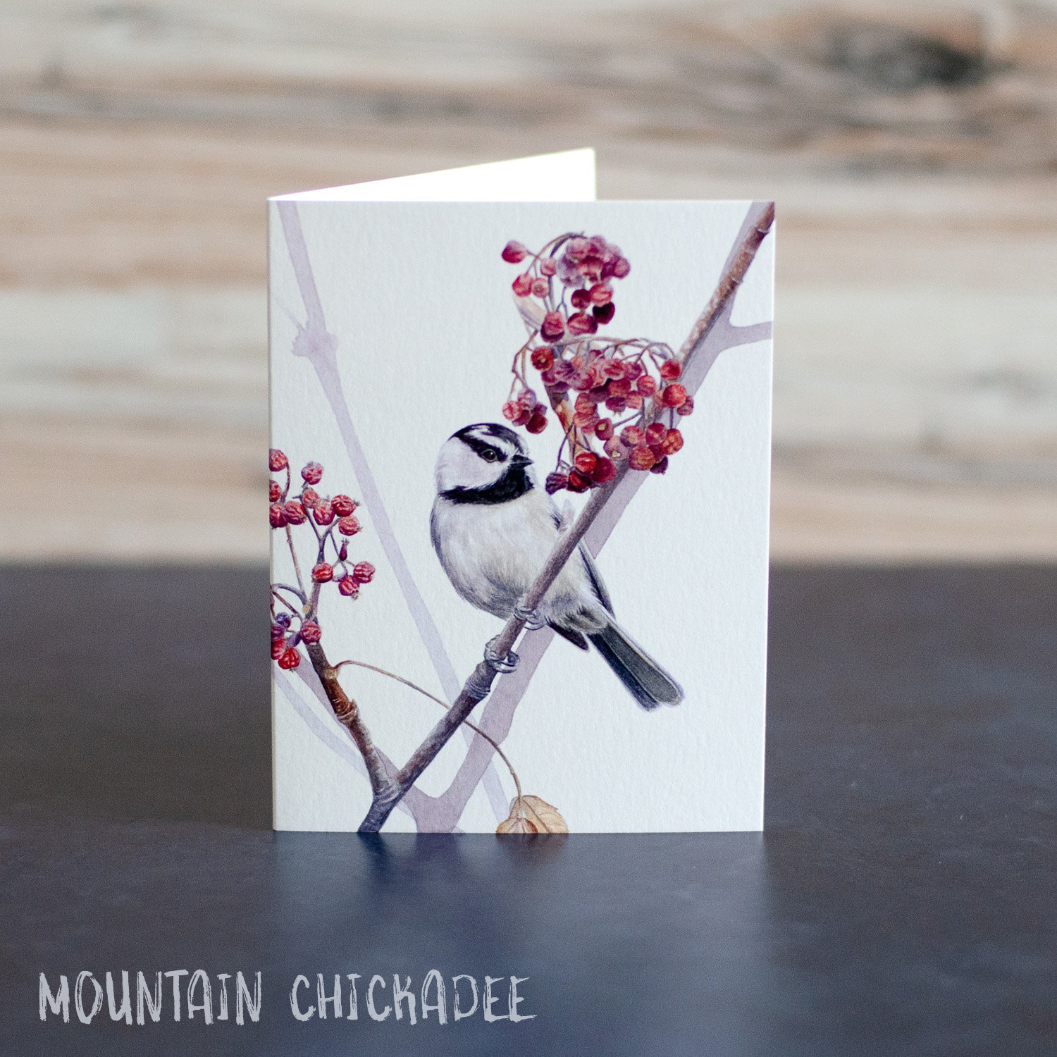 Text on Mountain Chickadee.jpg