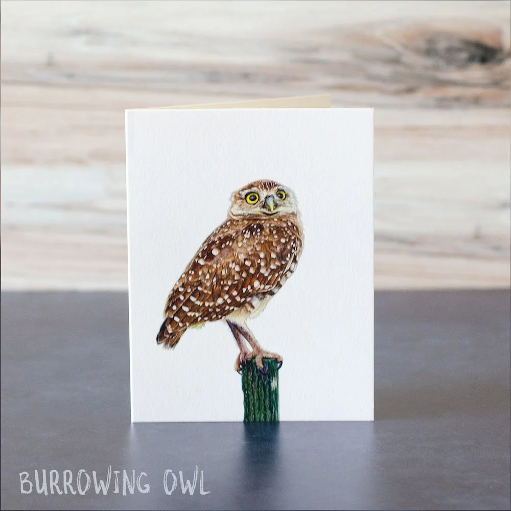 Colored pencil drawing of a burrowing owl sitting on a green post. Illustration is printed on a blank greeting card.