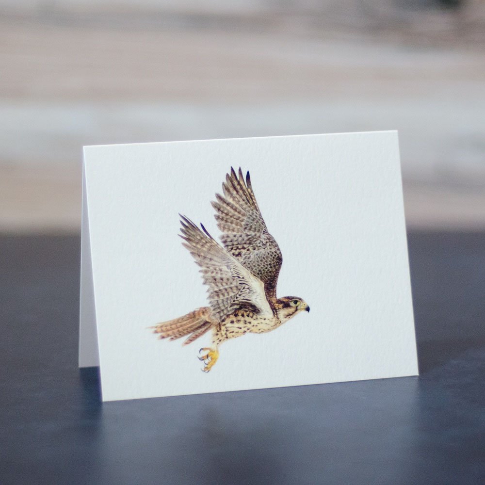 Alpine Tundra Card Set