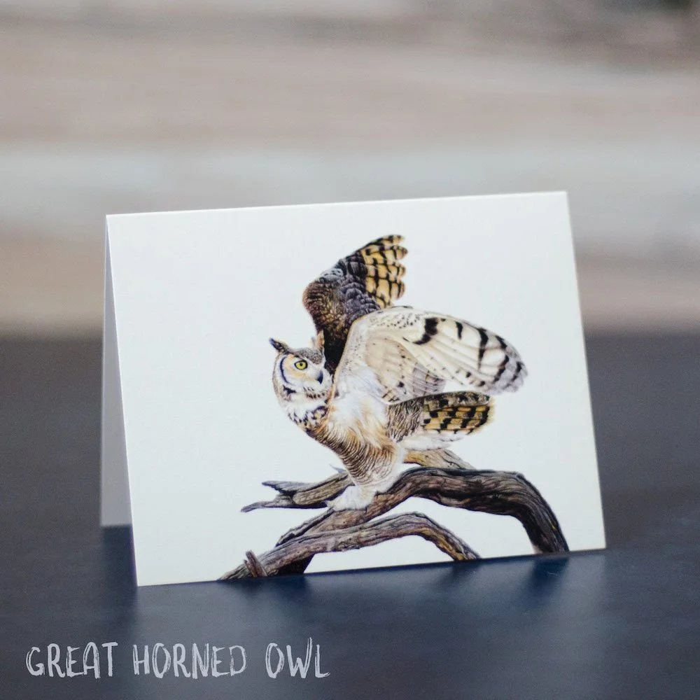 Colored pencil drawing of a great horned owl with wings partially outstretched. Art is shown printed on a blank greeting card.