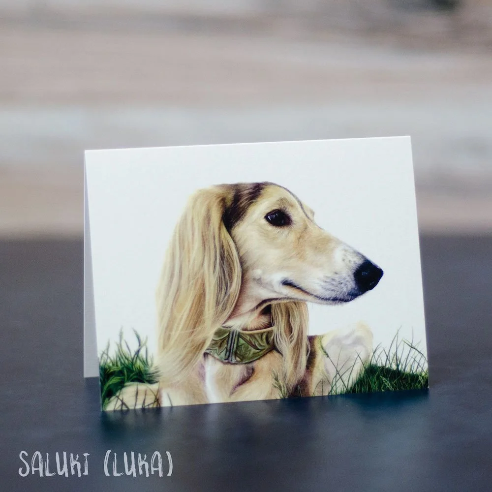 Pastel drawing of an elegant Saluki with a beautiful martingale collar. Art is printed on a blank greeting card.