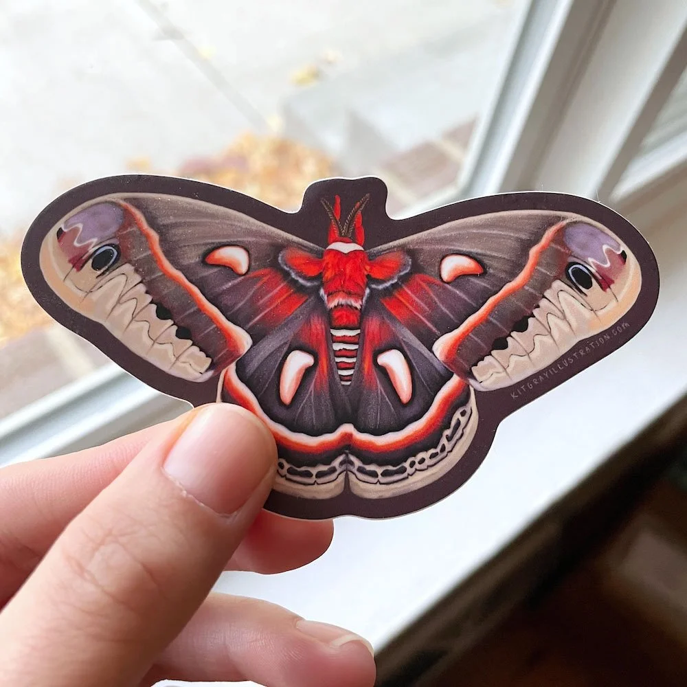 Cecropia Moth Sticker