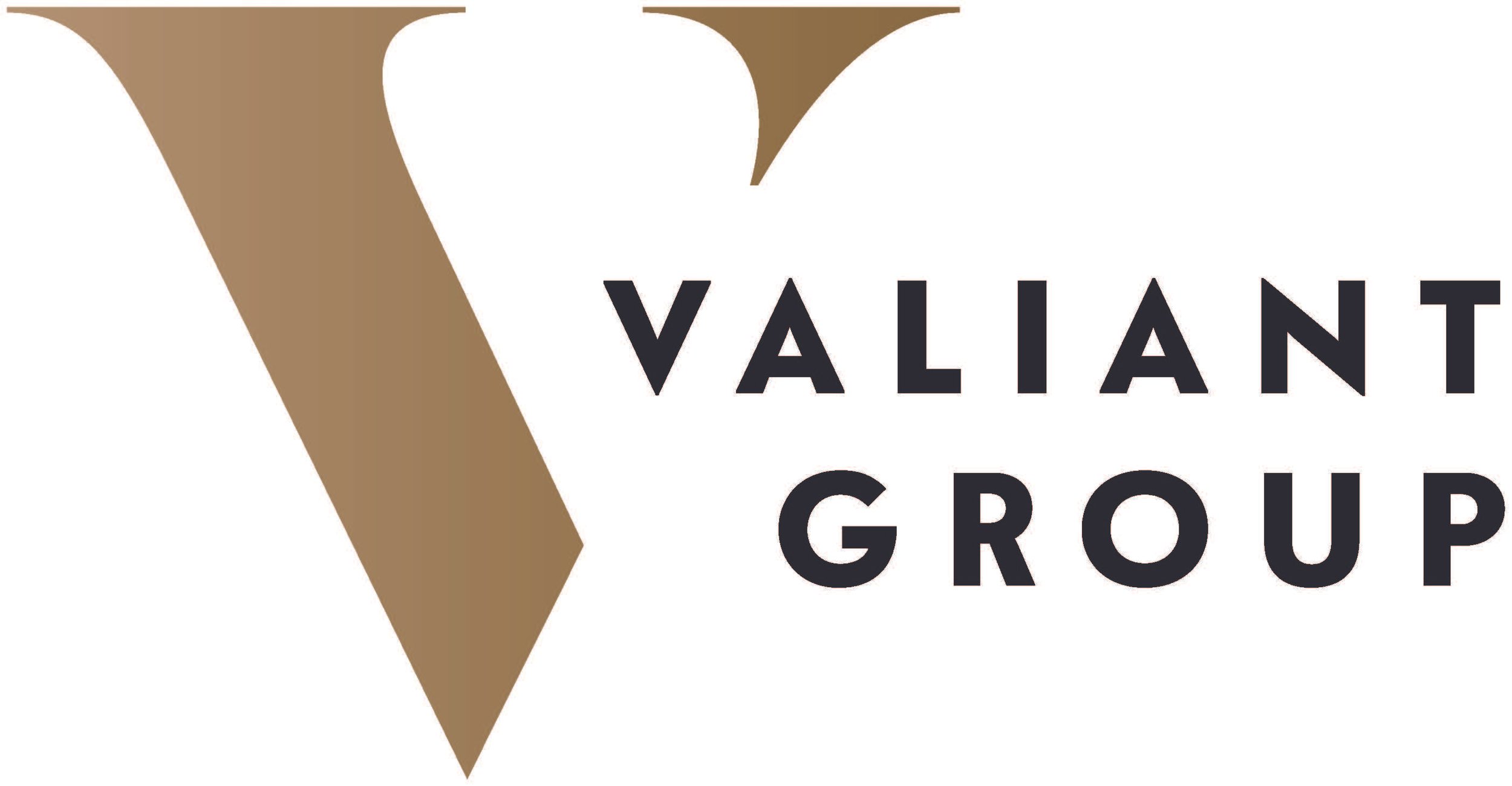 ValiantGroup logo.jpg