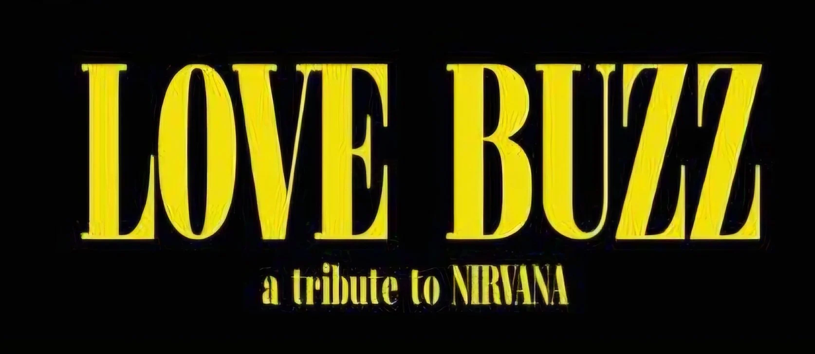 Love Bug Nirvana Experience 2.jpg