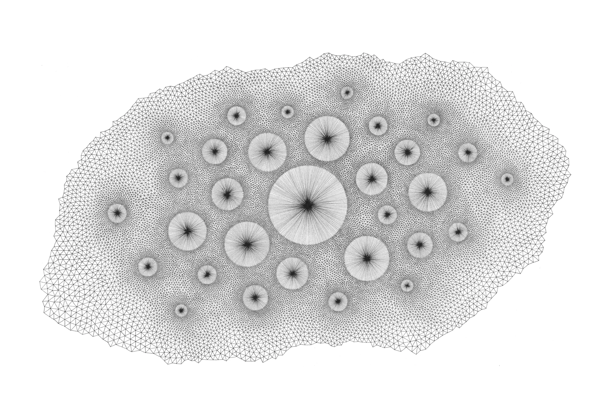 Networks
