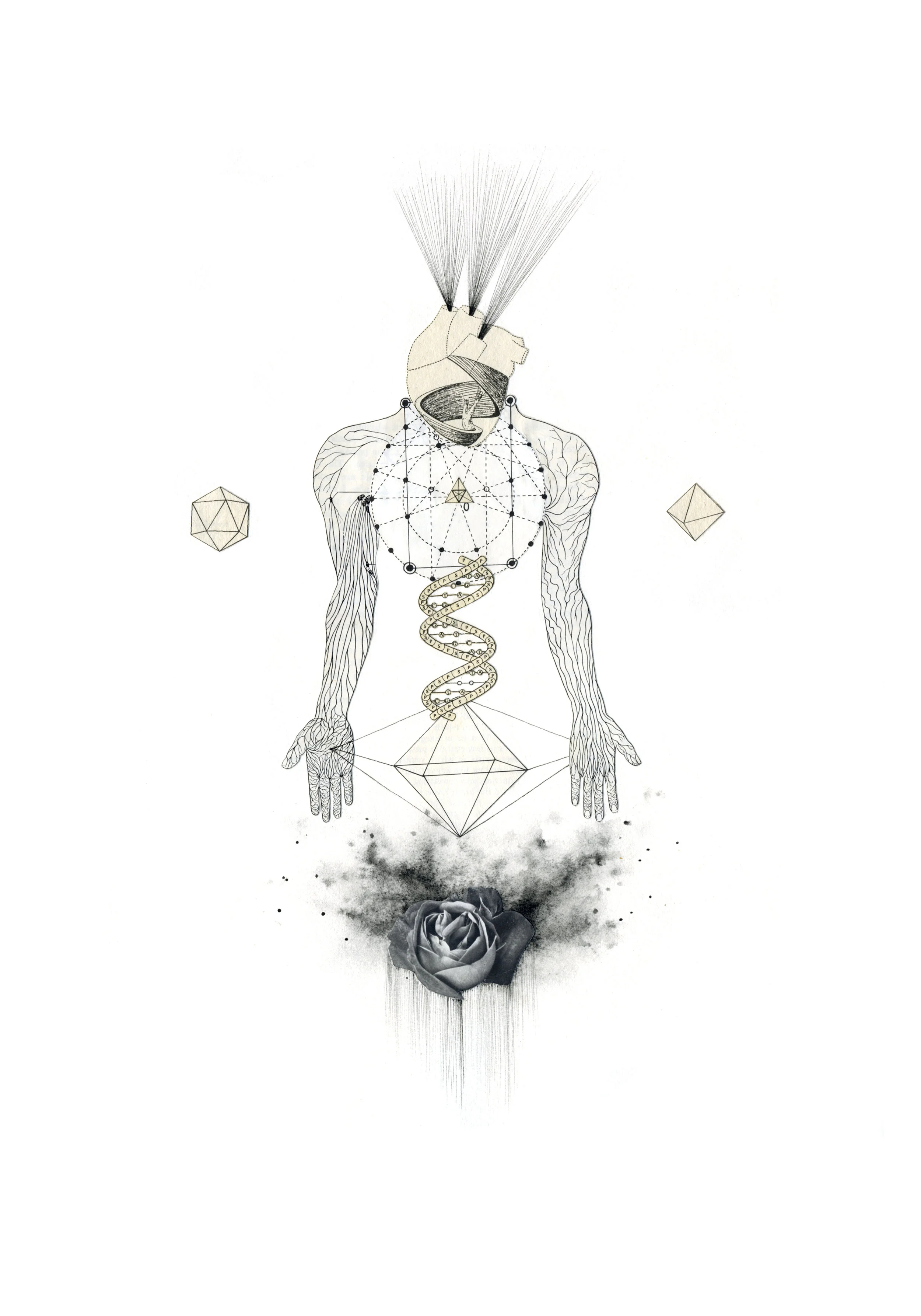Kundalini Rising