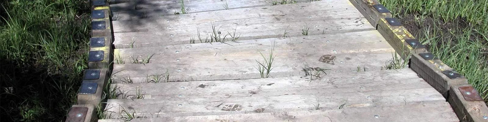 bcs-header-1600x400-about.jpg