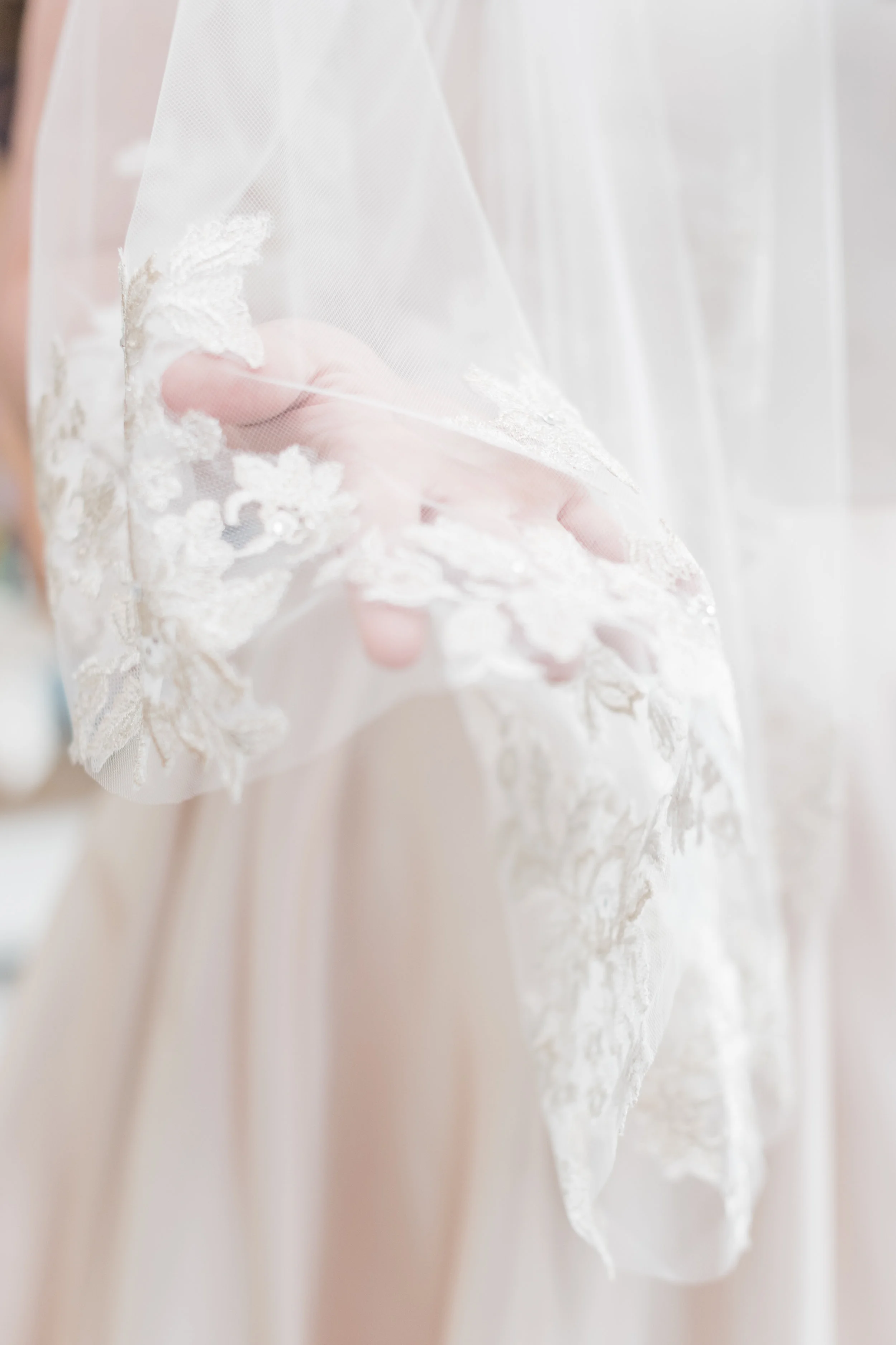 DSC_8114abp.jpg