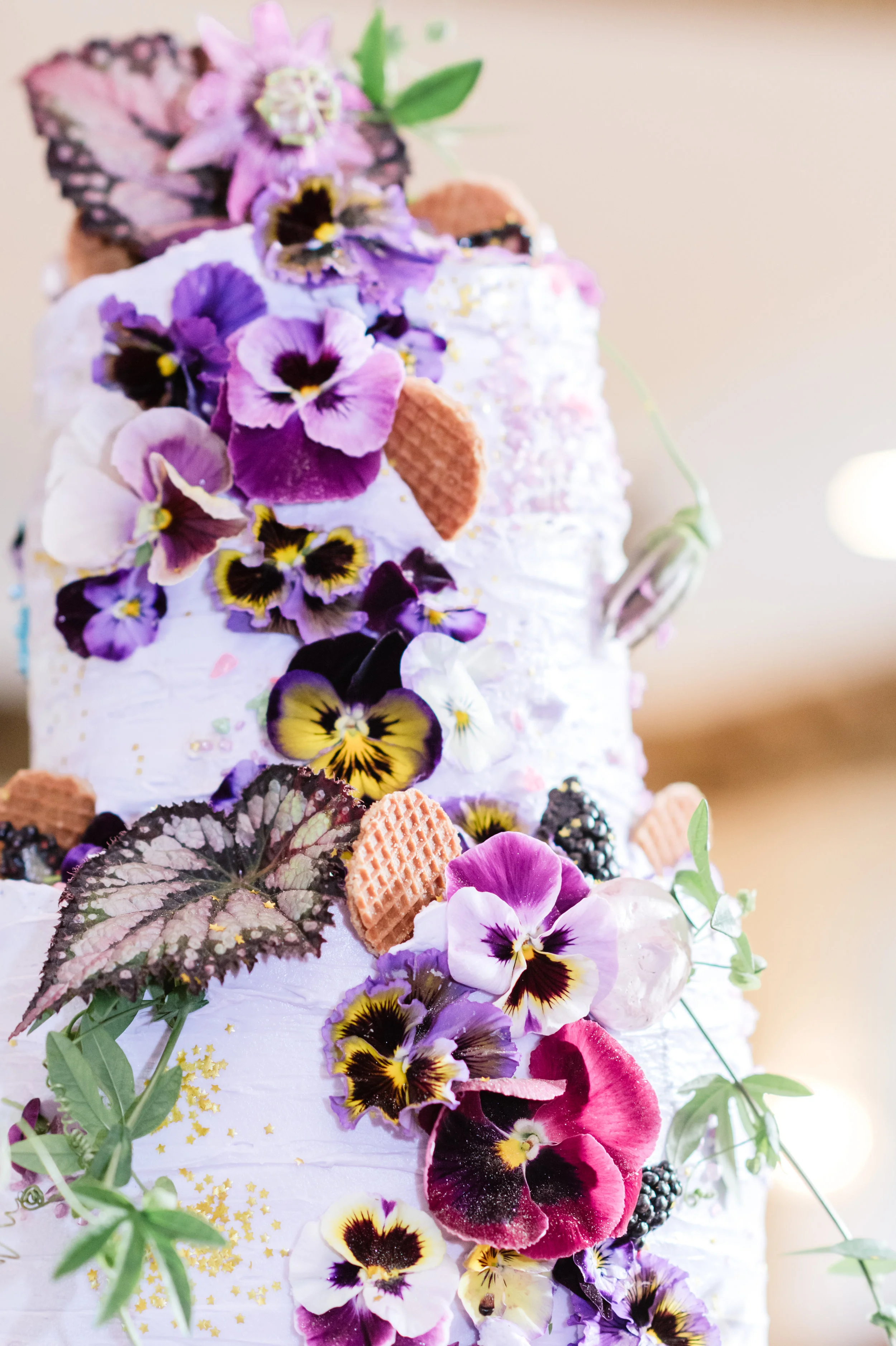 DSC_0120abp.jpg