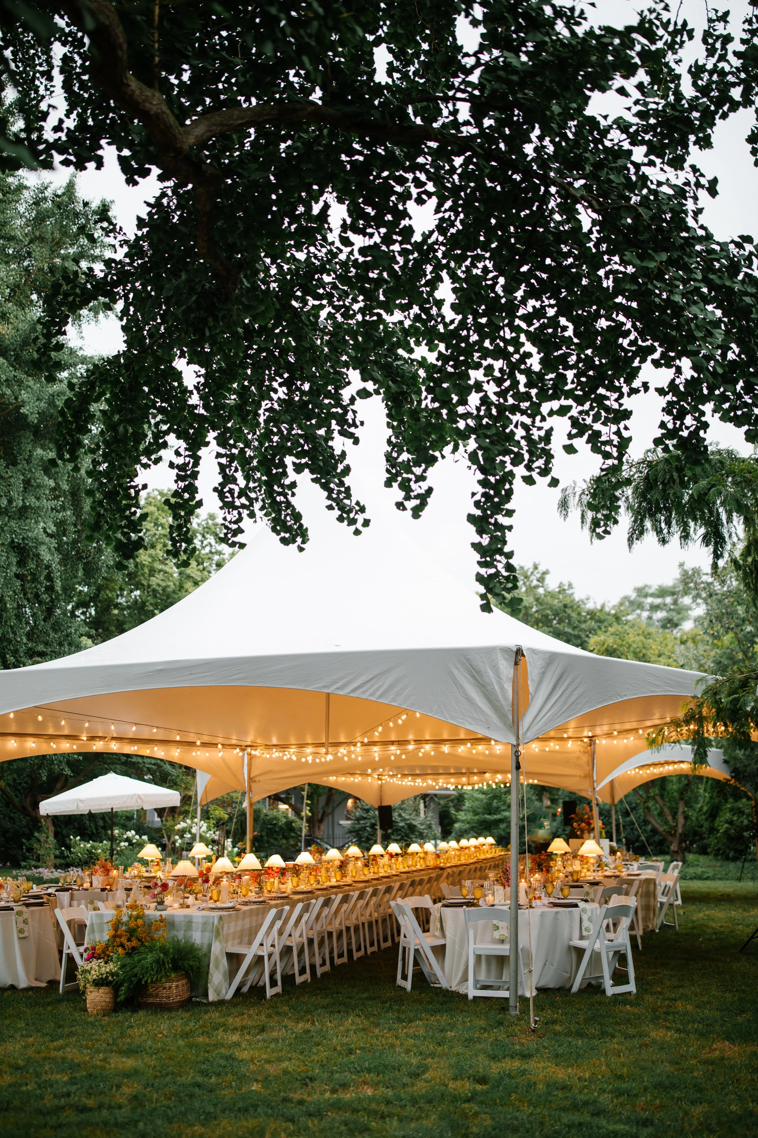 Wedding-Photo-501.jpg