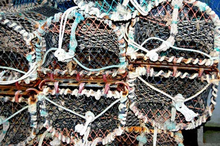 Cromer-crab.jpg