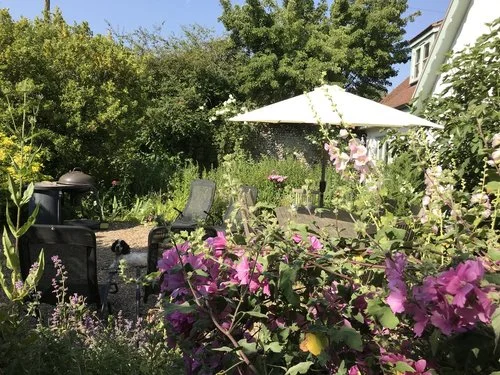 Blakeney-cottage-hollyhocks-garden.jpg