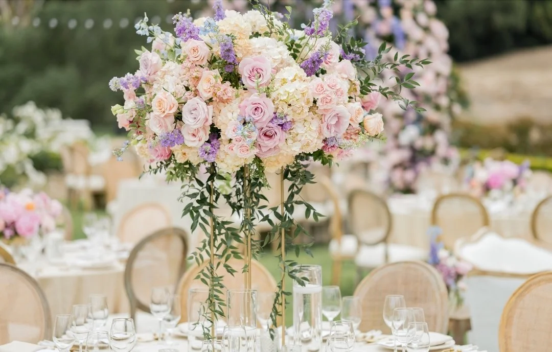 Colorful blooms and cascading greens! 🌸🍃✨