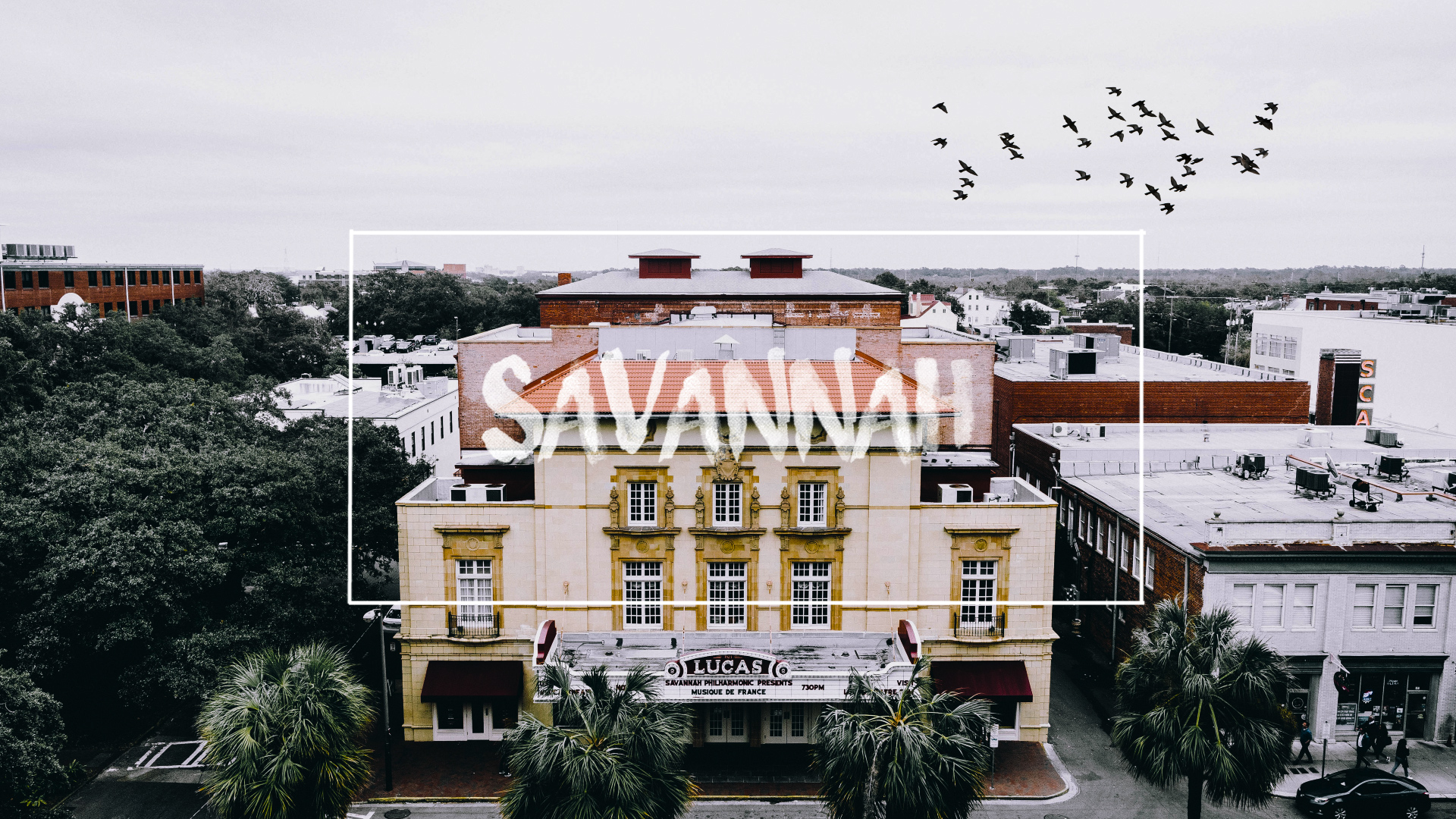 Savannah