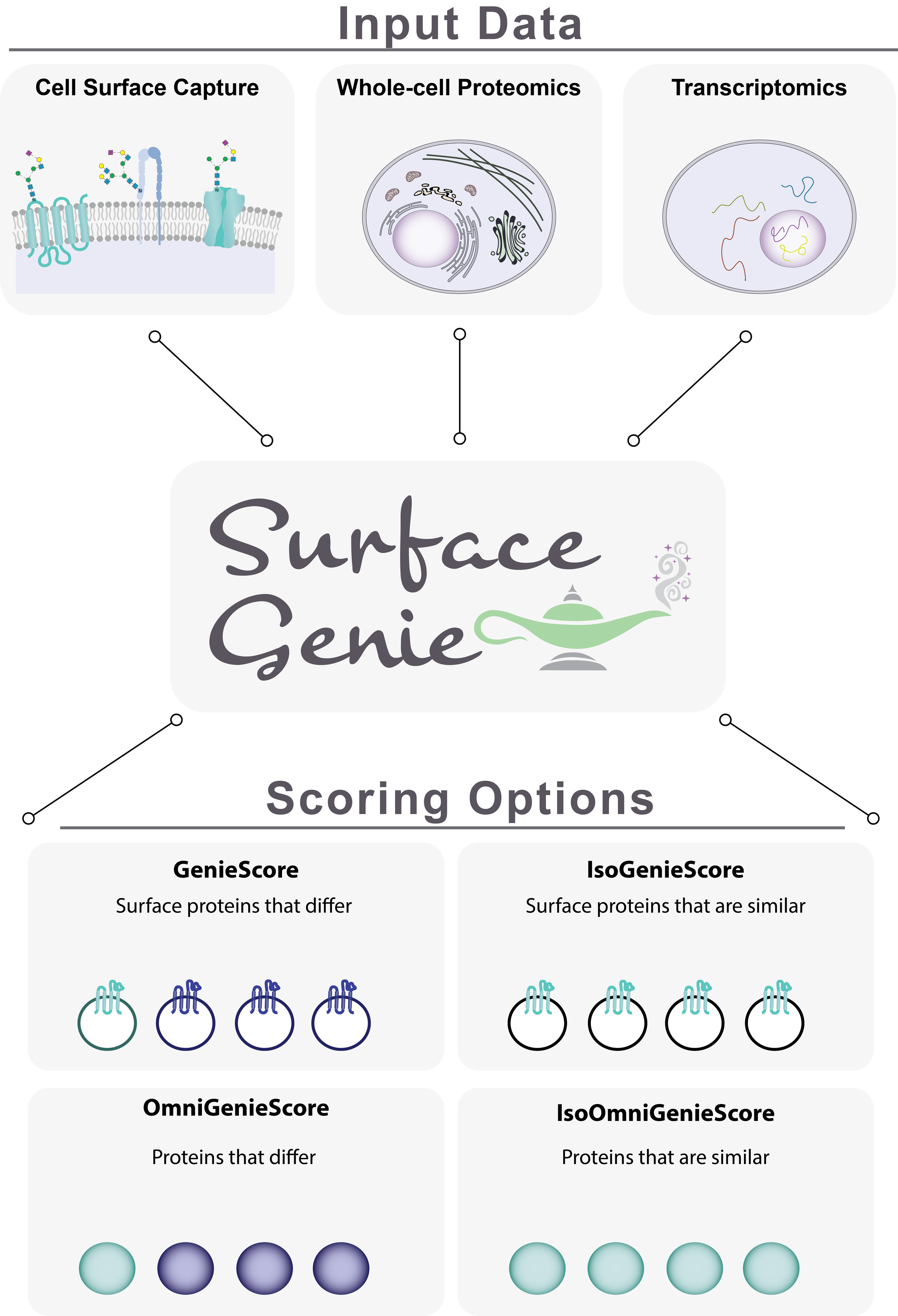 SG_website_homepage.png