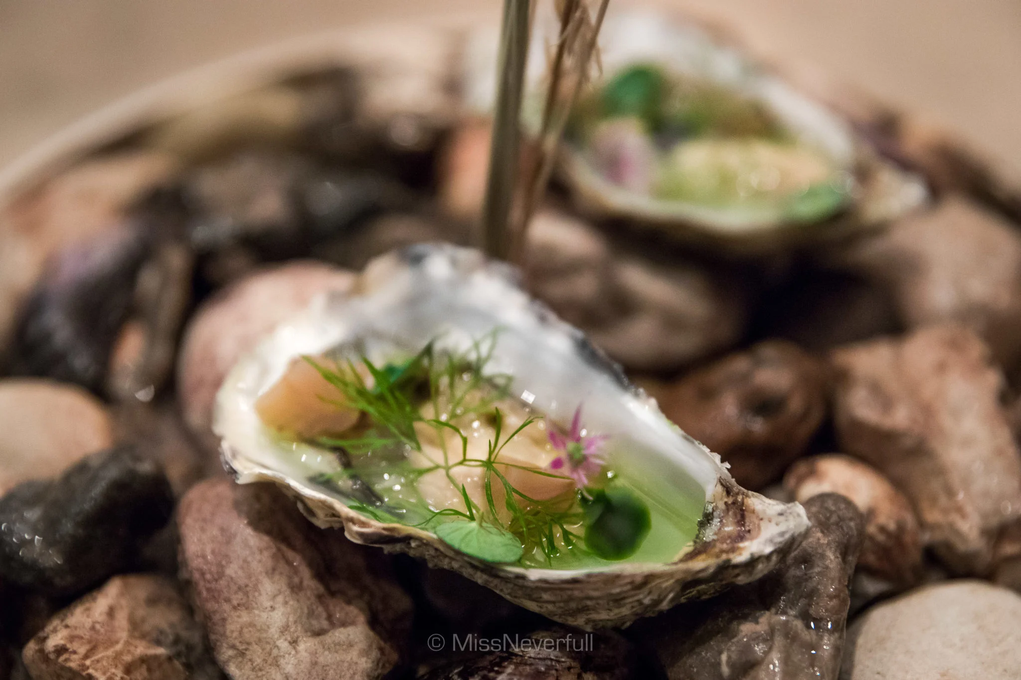 Oyster and strawberries