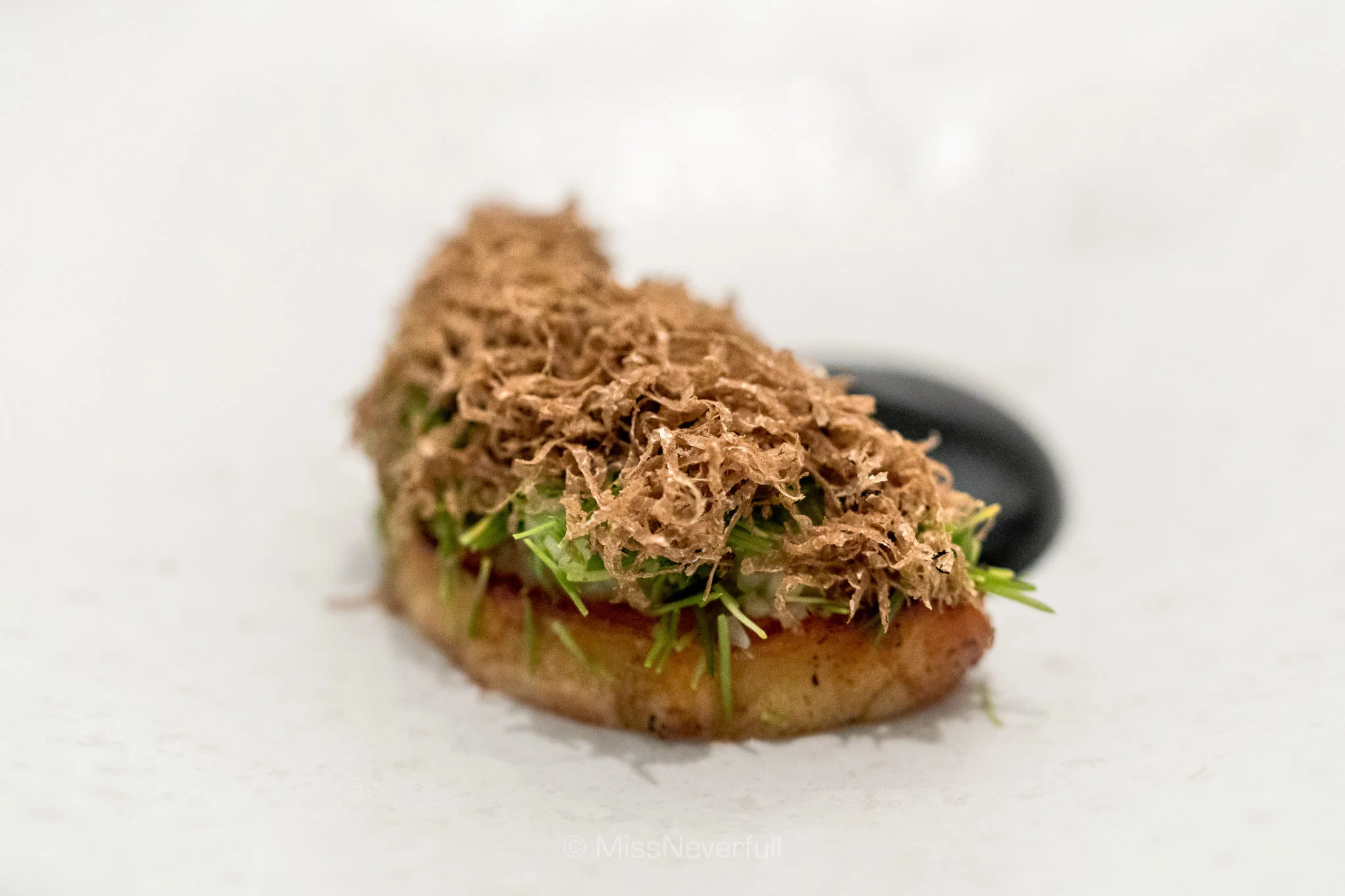 4. Celeriac, spruce, truffle and karljohan mushroom