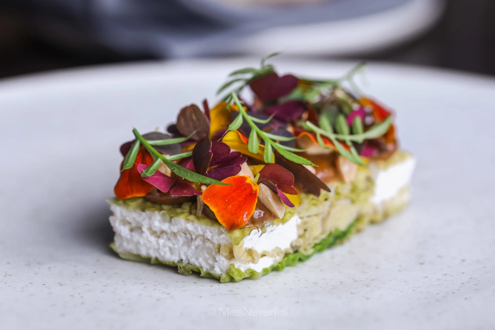 Tea Pickled Savoy Cabbage, Nut ‘Ricotta’, Black Garlic