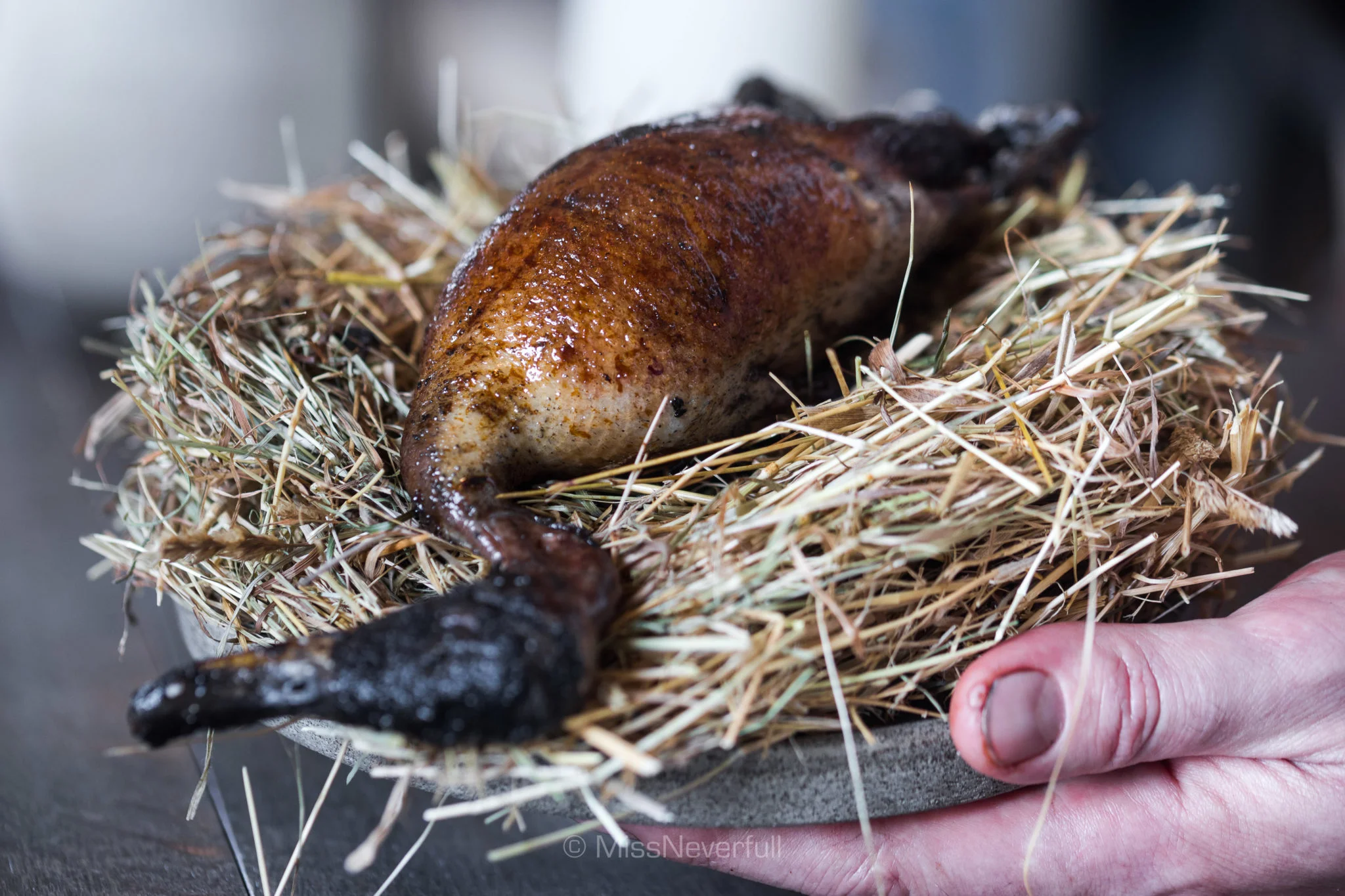 Whole grilled wild duck