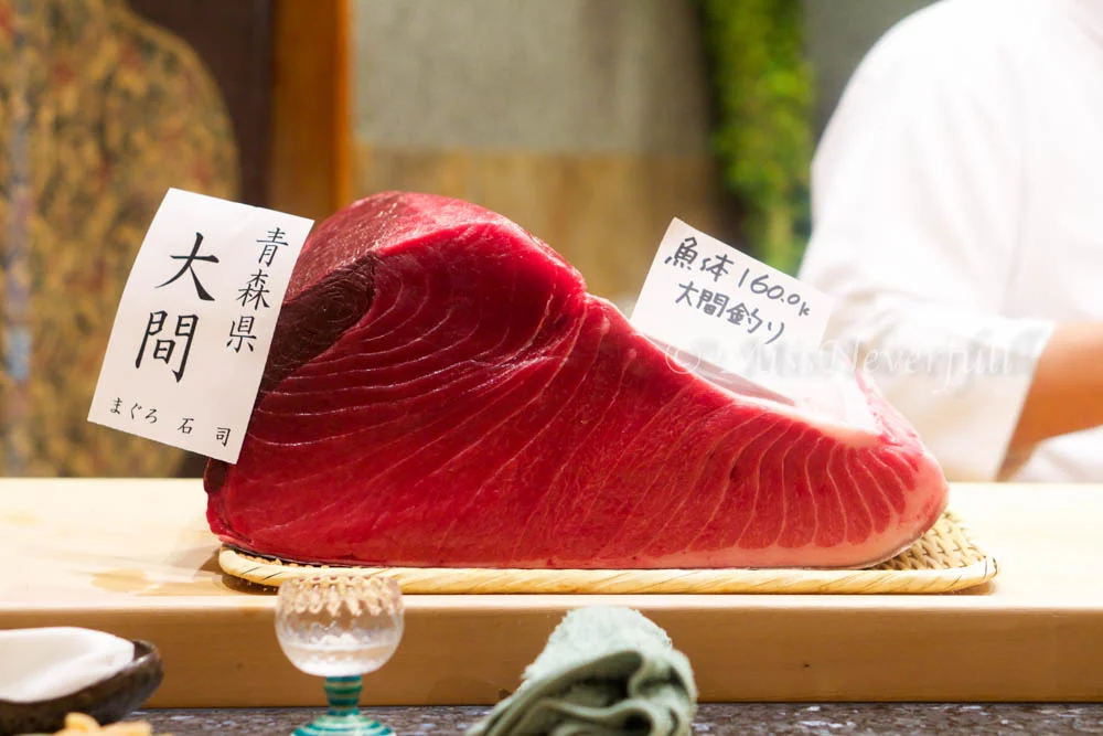 DSC08652.jpg
