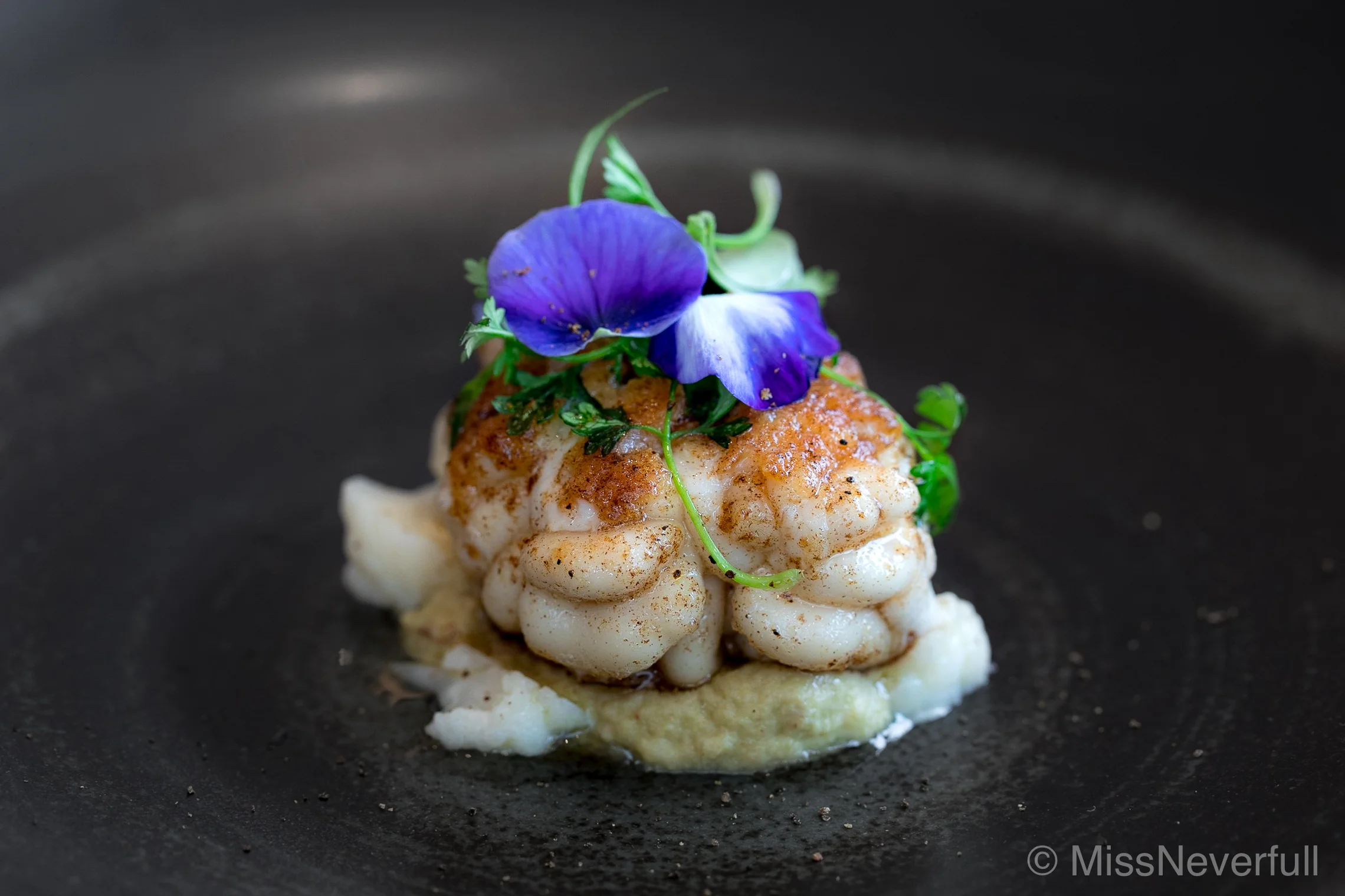 4. Shirako, cauliflower, Horseradish, Olive Oil