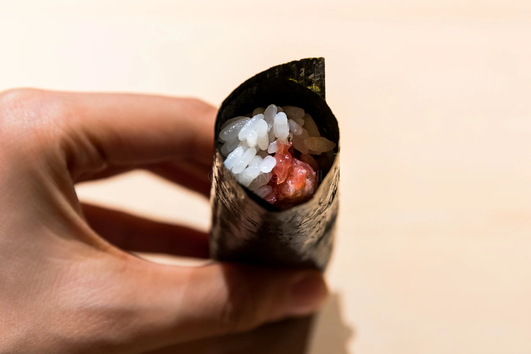Not yet satisfying...so an additional toro temaki (handroll)