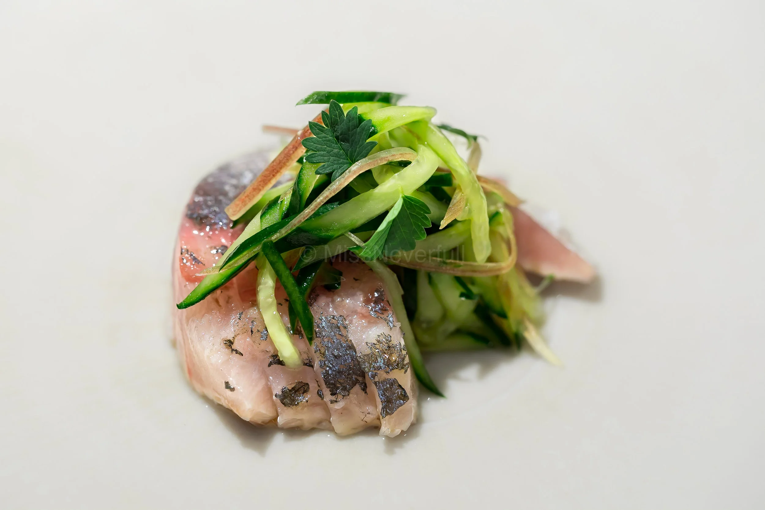Summer | Aji and cucumber