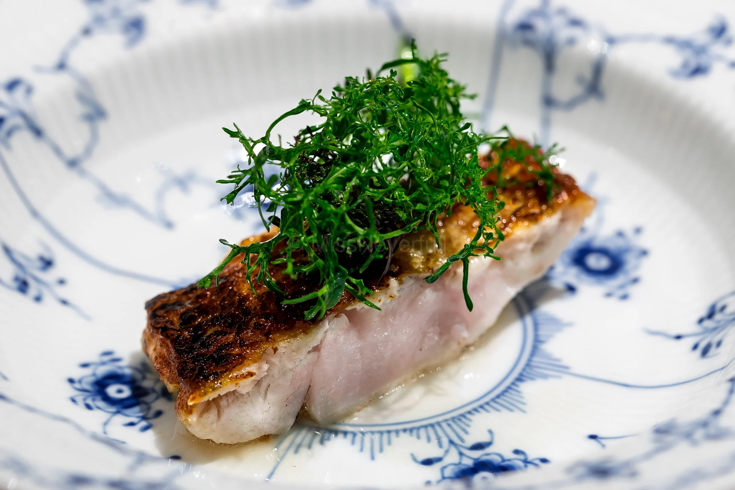 Summer | Nodoguro Poele topped with chirimen mustard leaves