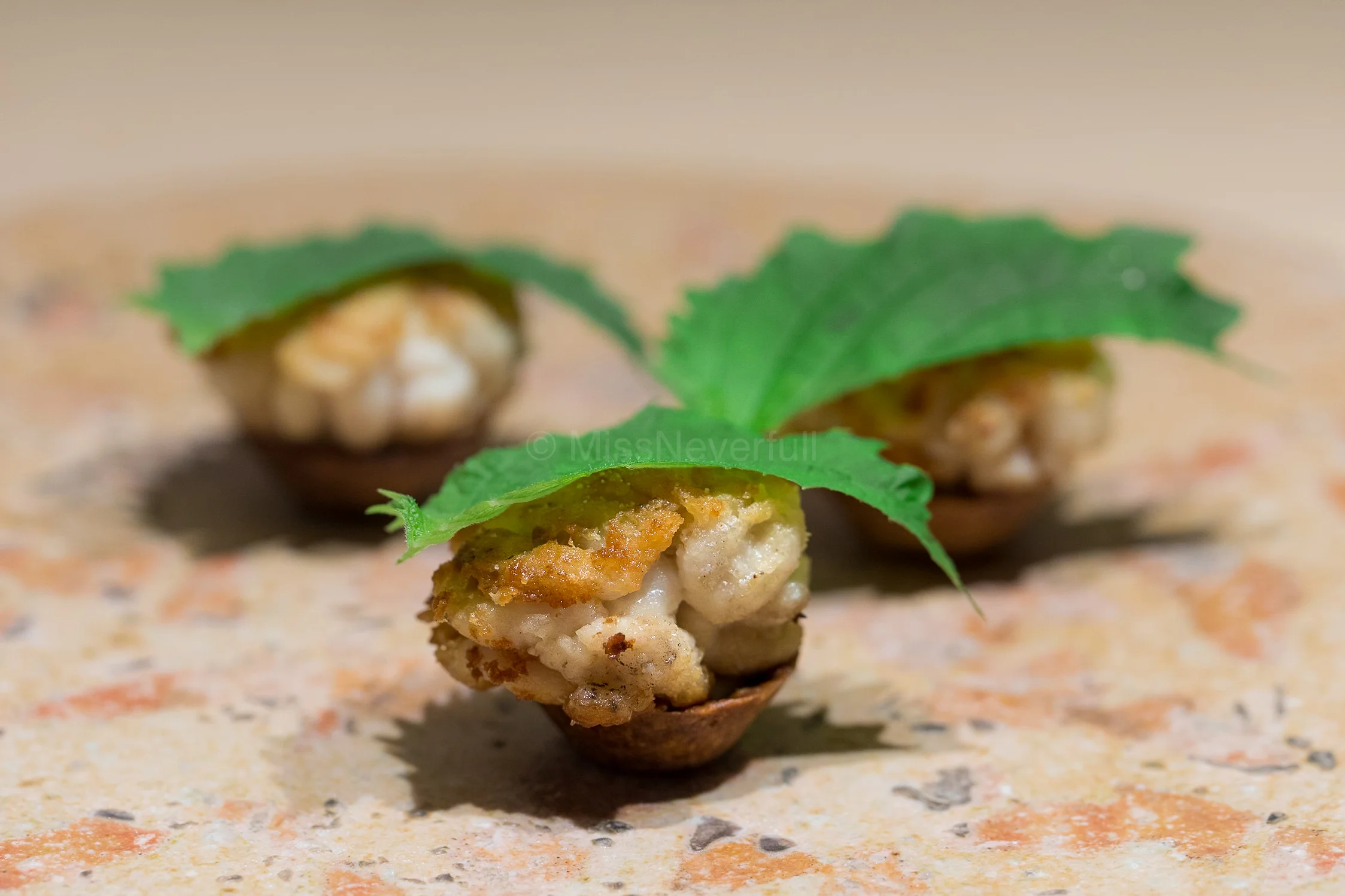 Late Autumn | Shirako Tart