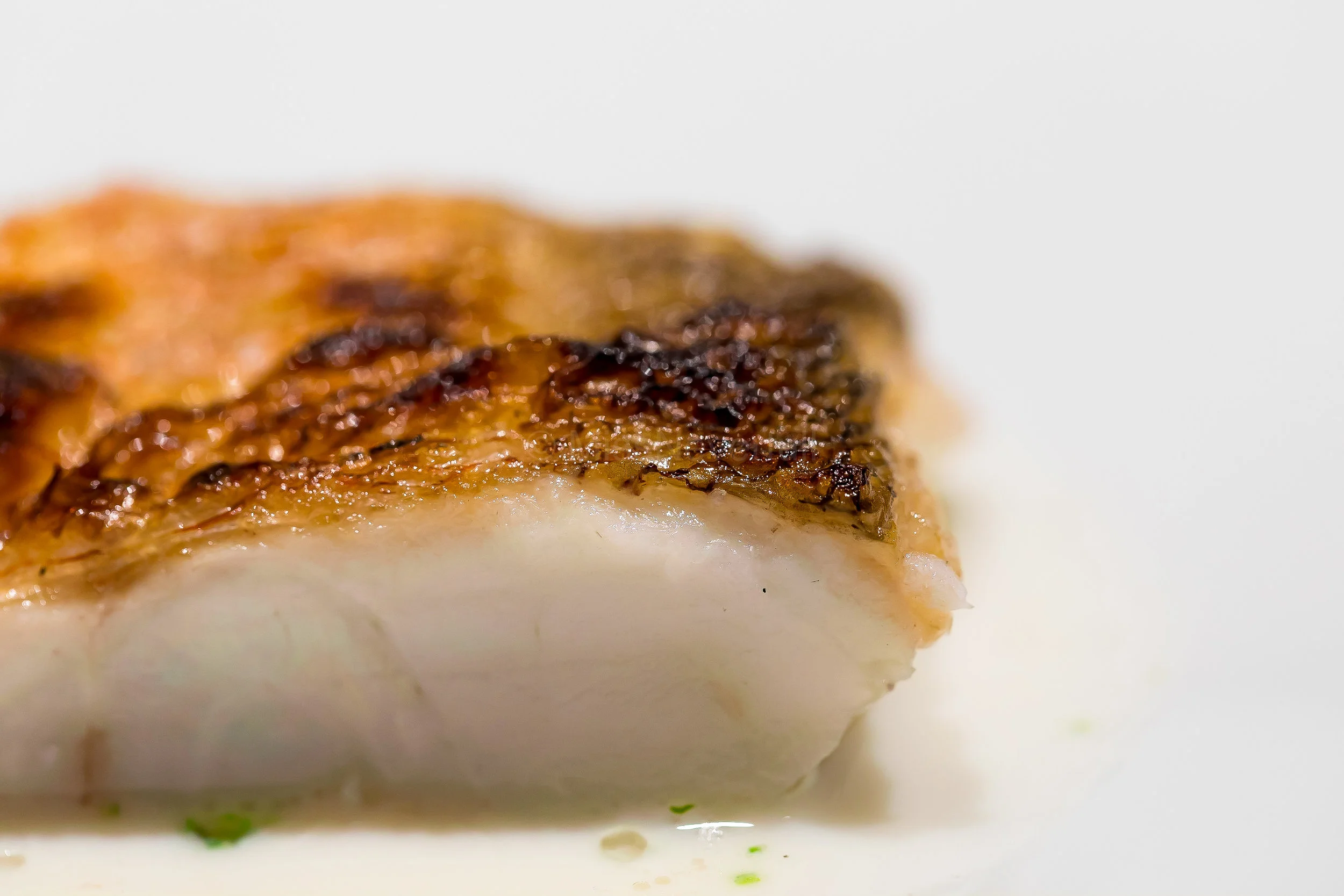Autumn | Shirakawa sumibiyaki, yamato clam dashi sauce, sudachi lime