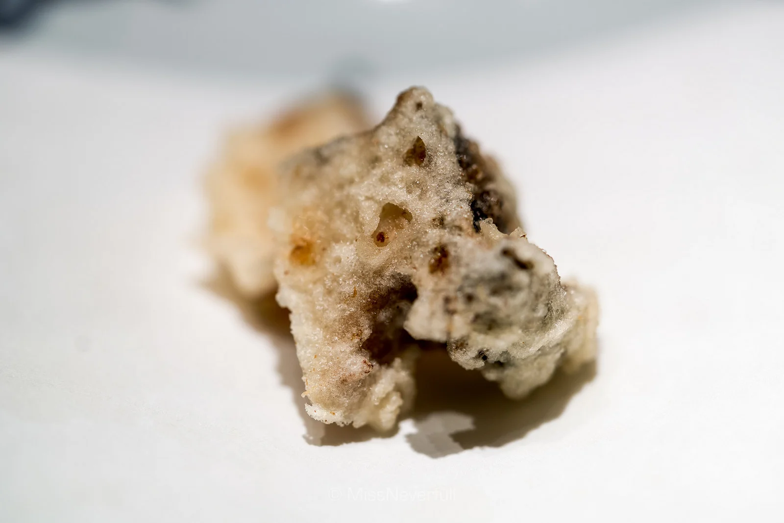 10.鮑と肝ソース Abalone, served with abalone liver sauce