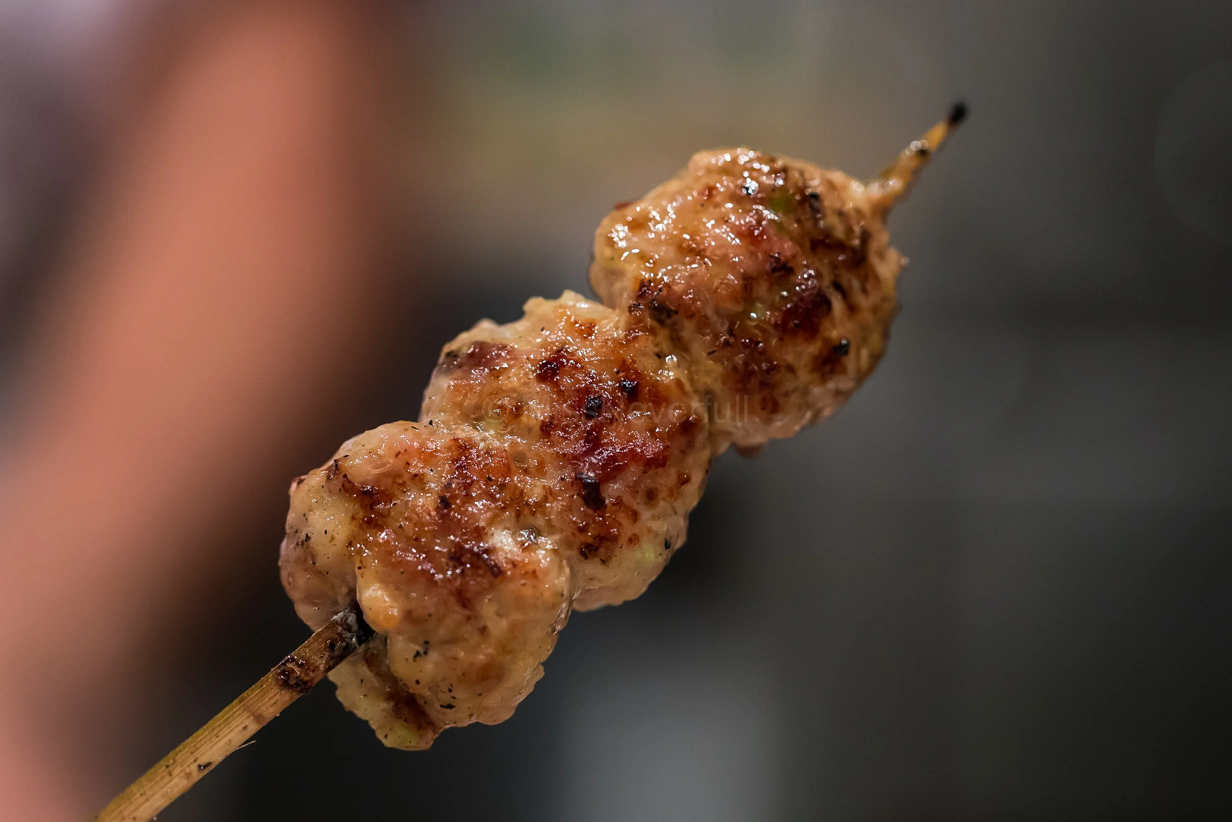 12. Tsukune (chicken meatballs) | つくね