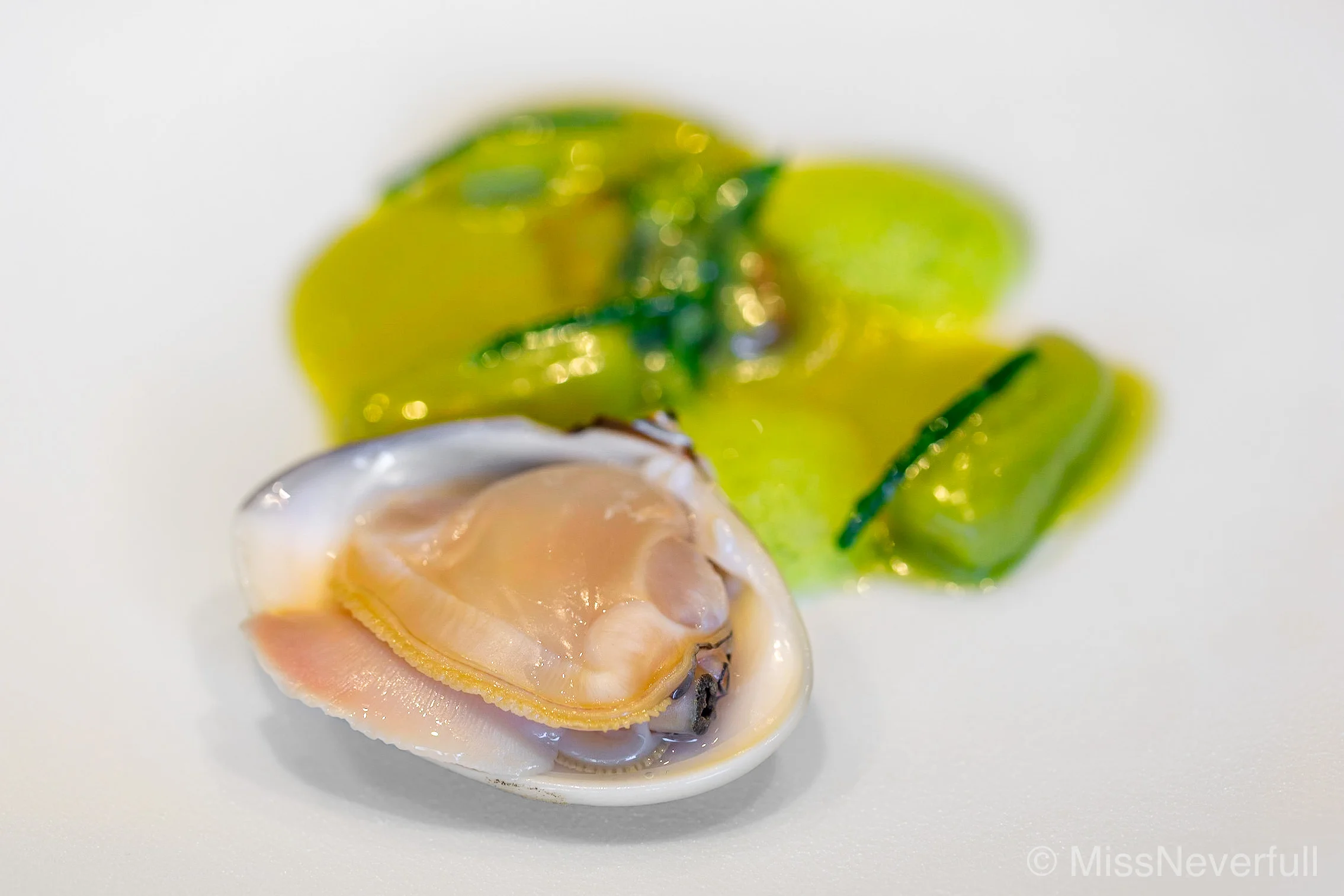 2. Hamaguri (clam) & Flower of canola