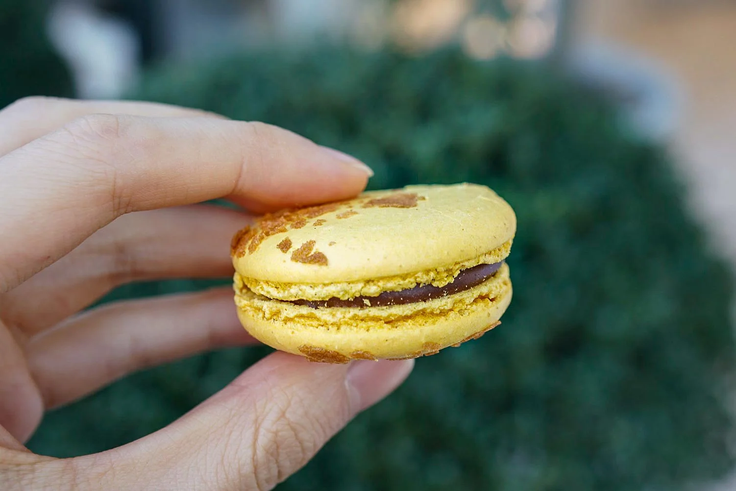 Yuzu Macaron