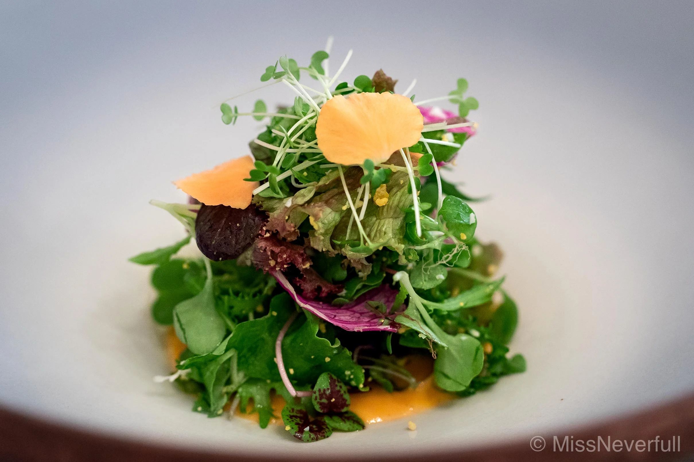 1. 自然NATURE: salad of 50 kinds of vegetables, with pure tomato sauce