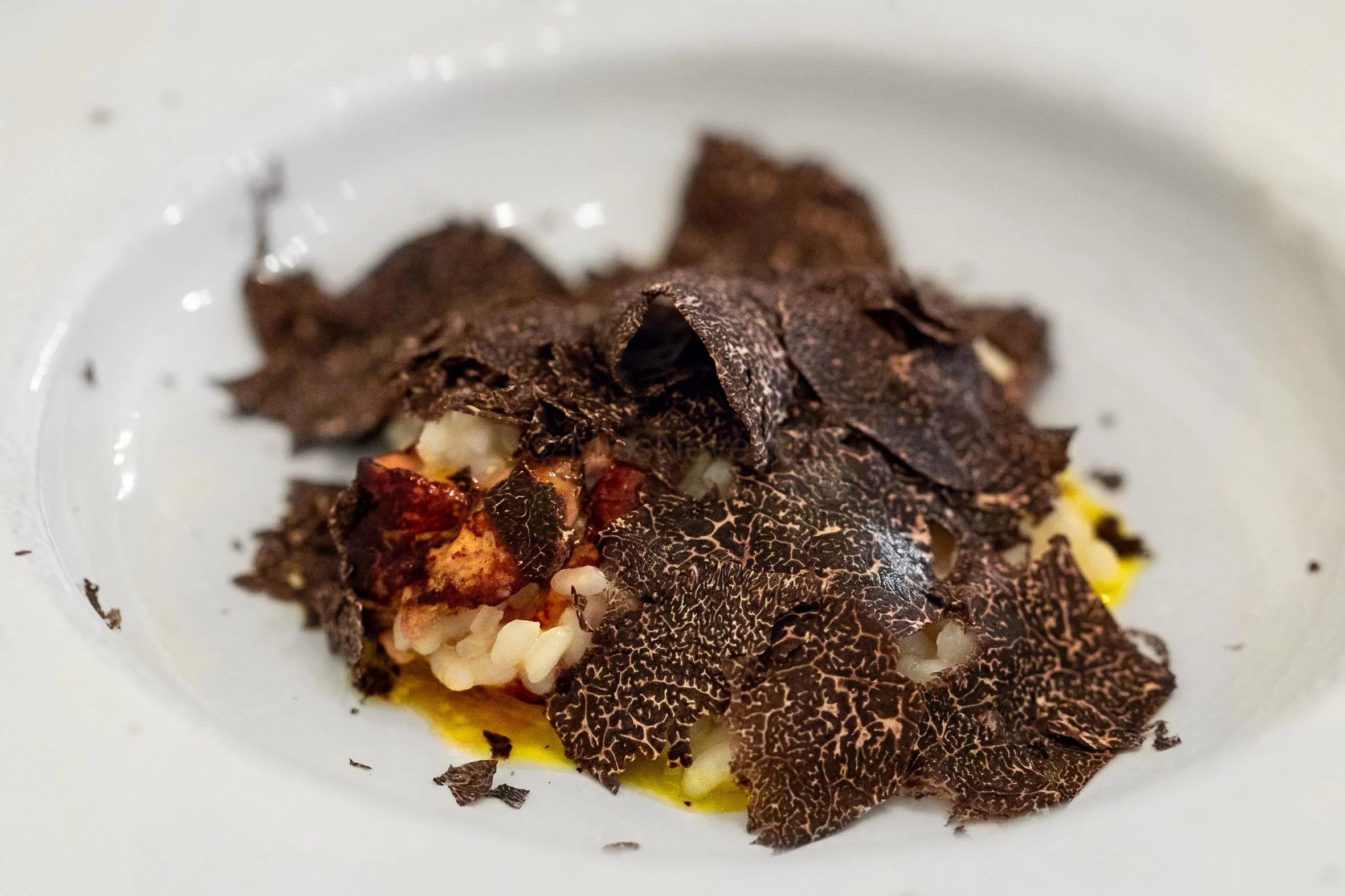 4. Foie Gras Risotto with Black Truffle