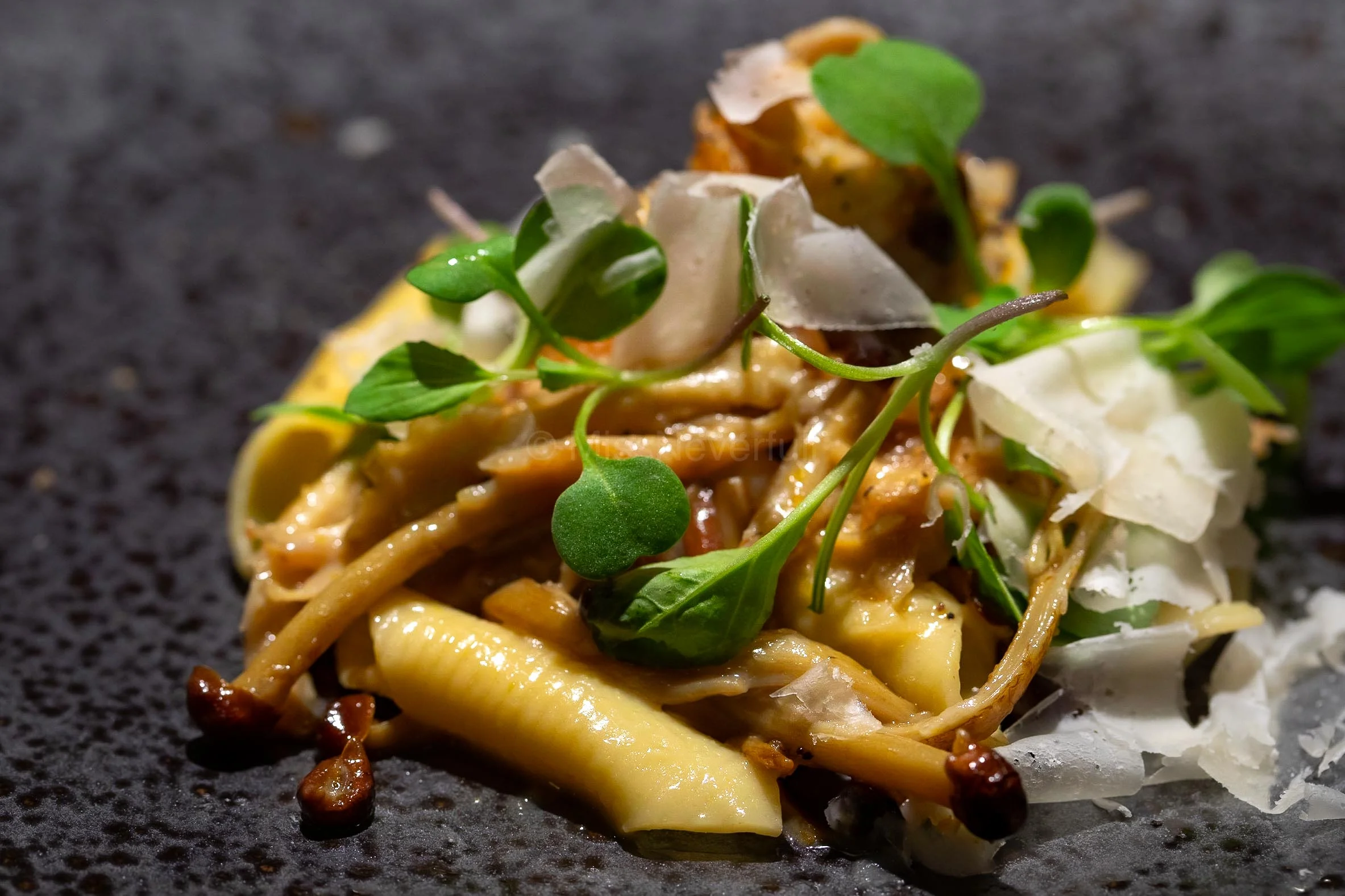 5. Penne Ragu with Assorted Mushrooms