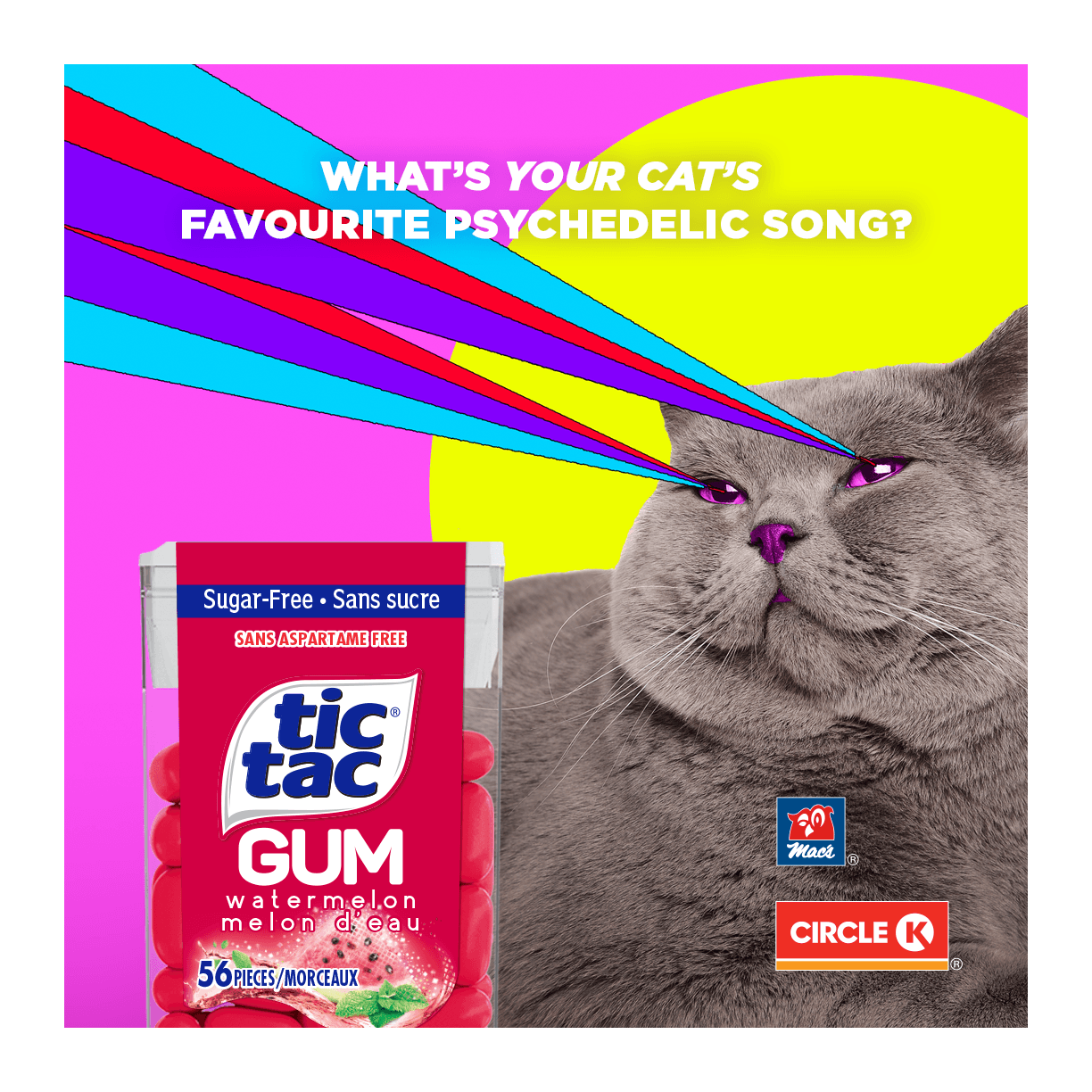kitty.png