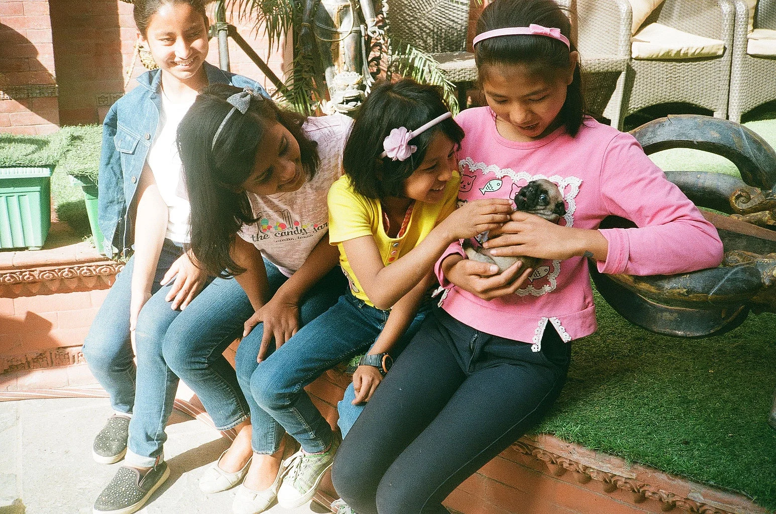 During our trip, we eagerly welcomed a new member to the Love Does Home - a baby pug named Oskar! We love watching the way these girls care for each other and now this little guy!