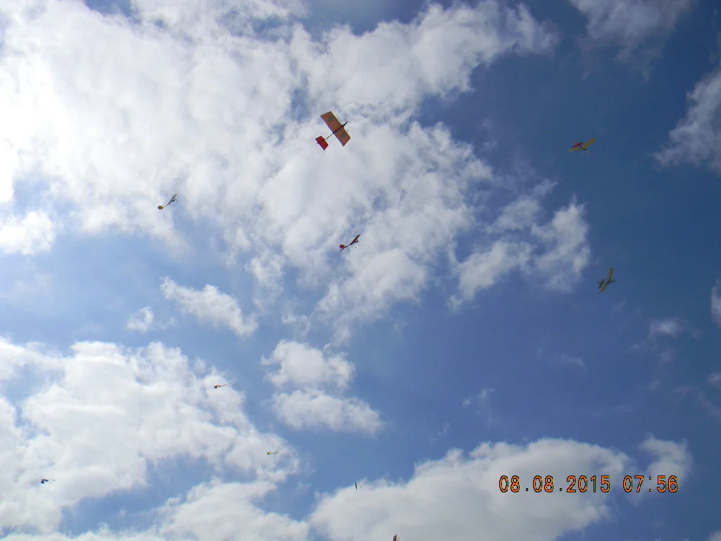 2015-08-08 Silentfliers Annual Picnic at Eldorado Park 005.jpg