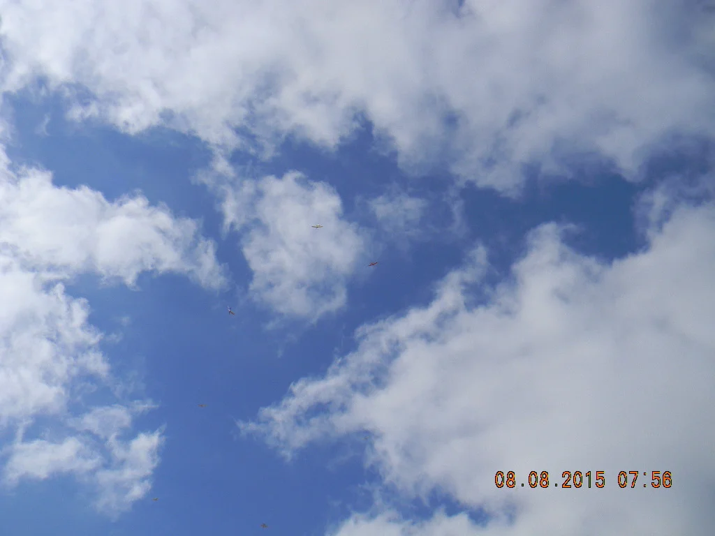2015-08-08 Silentfliers Annual Picnic at Eldorado Park 006.jpg