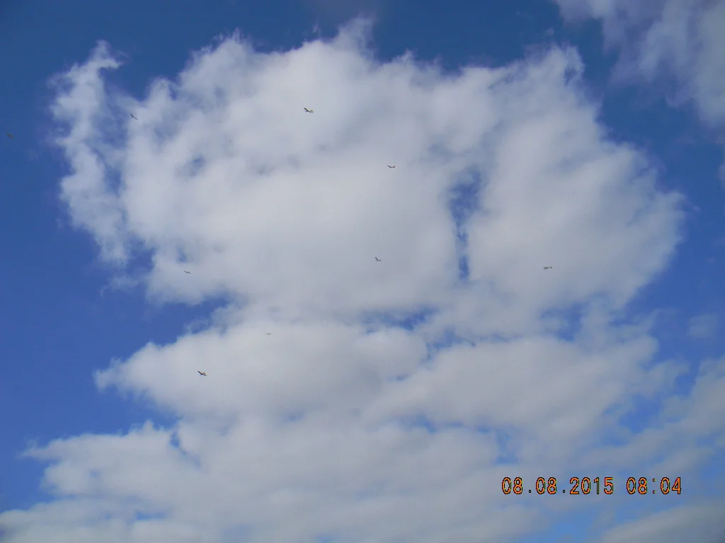2015-08-08 Silentfliers Annual Picnic at Eldorado Park 013.jpg